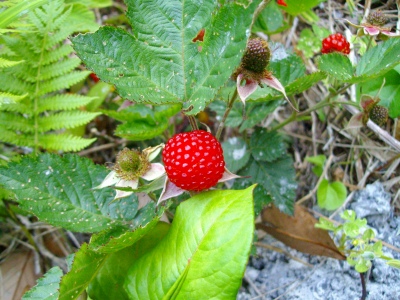 2009-04-16 007.jpg