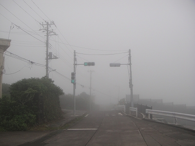 2010-7-11 004.jpg