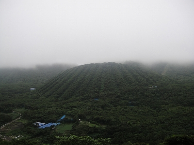 2010-7-11 018.jpg