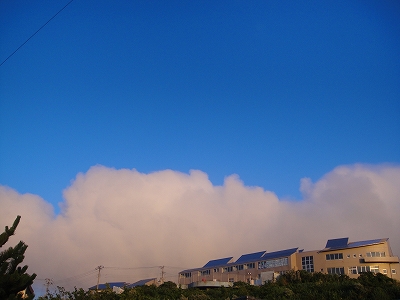 2010-7-1 015.jpg