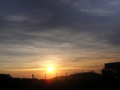 2010-7-1 018.jpg