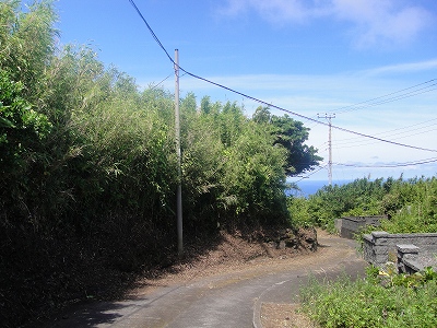 2010-7-29 001.jpg