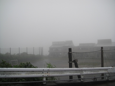 2010-7-31 001.jpg