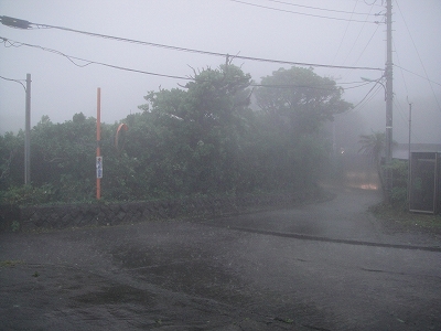 2010-7-8 004.jpg
