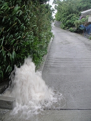 2010-7-8 006.jpg