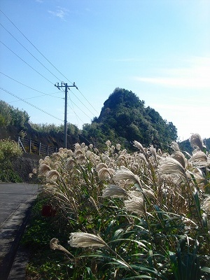 11月 004.jpg