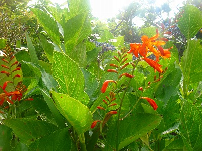 2006.6.27 001.jpg