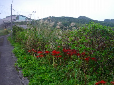 2007-10-1 002.jpg