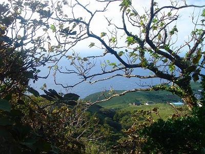2007-10-18 014.jpg