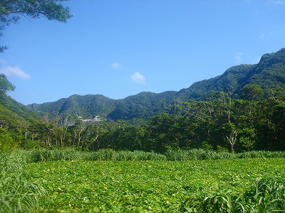 2007-10-21 001.jpg
