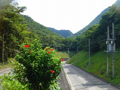 2007-10-21 008.jpg