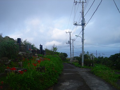 2007-10-2 014.jpg