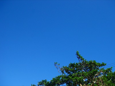 2007-10-23 008.jpg