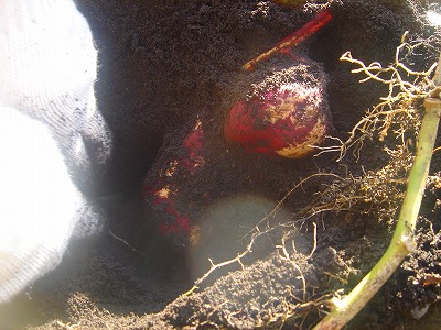 2007-10-28 016.jpg