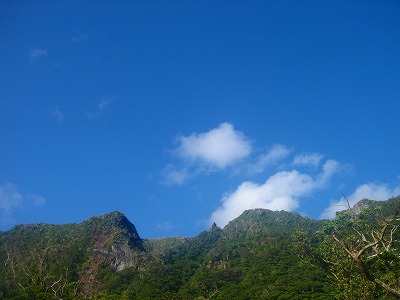 2007-10-28 019.jpg
