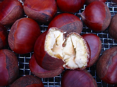 2007-10-28 042.jpg