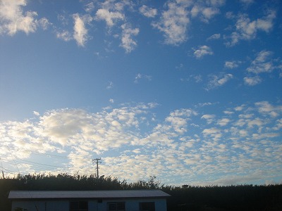 2007-10-29 051.jpg