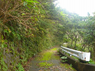 2007-11-7 001.jpg