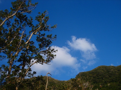 2007-12-08 013.jpg