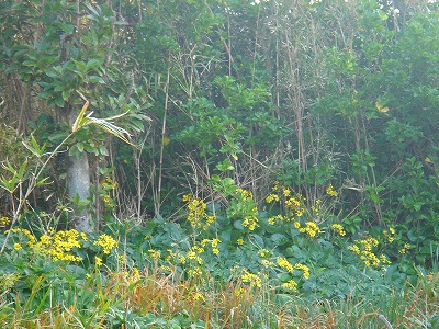 2007-12-21 017.jpg