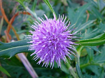2007-12-21 022.jpg