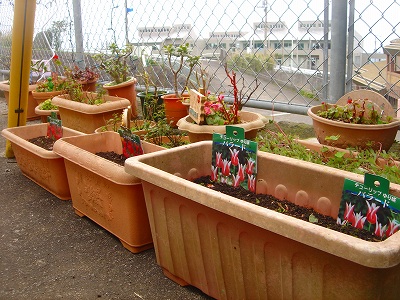 2007-12-22 010.jpg
