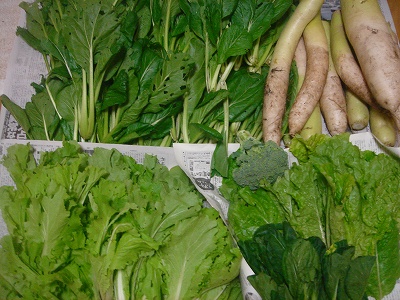 2007-12-25 005.jpg
