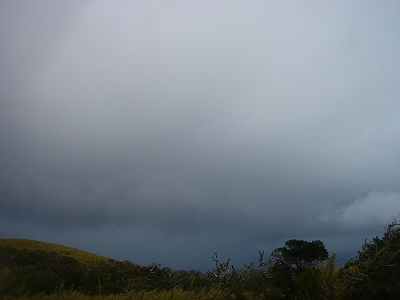 2007-12-29 028.jpg