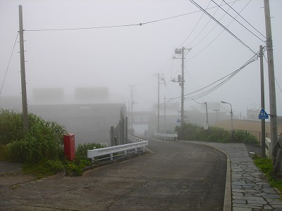 2007-7-11 001.jpg