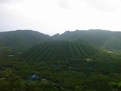 2007-7-1 020.jpg