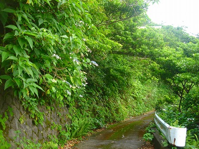2007-7-1 023.jpg