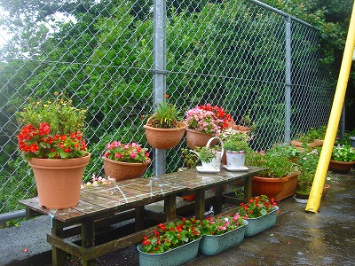 2007-7-13 009.jpg