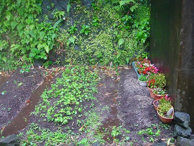 2007-7-13 015.jpg