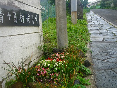 2007-7-13 021.jpg