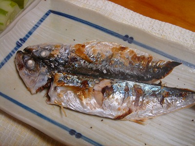 2007-7-30 015.jpg