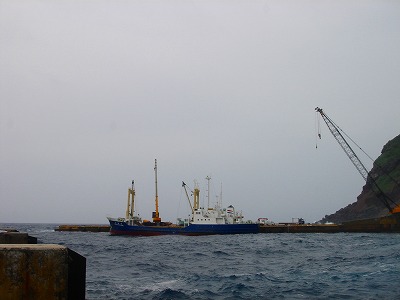 2007-7-7 002.jpg