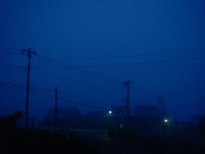 2007-7-7 005.jpg