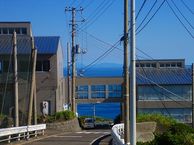 2007-8-27 001.jpg