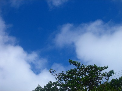2007-9-17 014.jpg