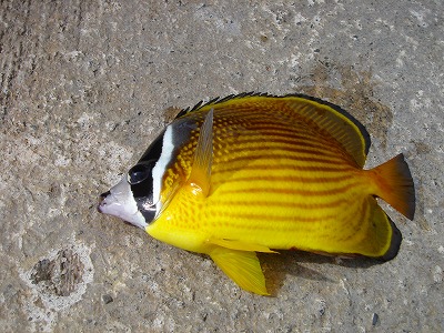 2007-9-23 041.jpg