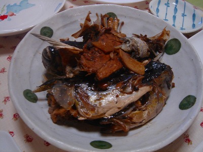 2007-9-24 015.jpg