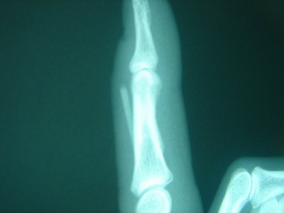 2007-9-25 007.jpg