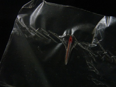 2007-9-25 017.jpg
