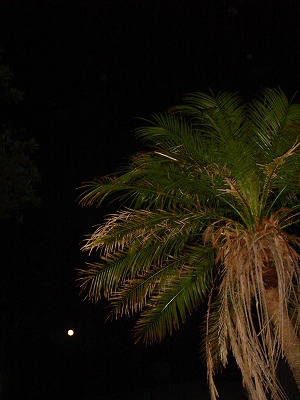 2007-9-26 022.jpg