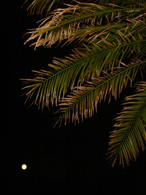 2007-9-26 023.jpg