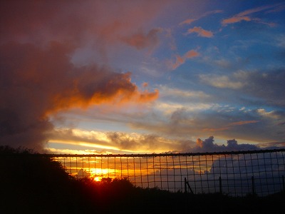 2007-9-30 002.jpg
