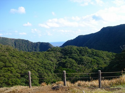 2007.2 281.jpg