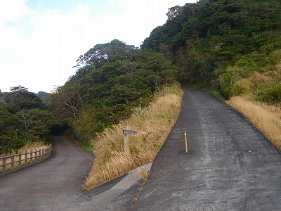 2007.2 297.jpg