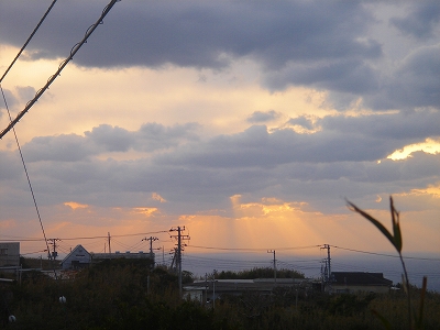 2007.3 150.jpg