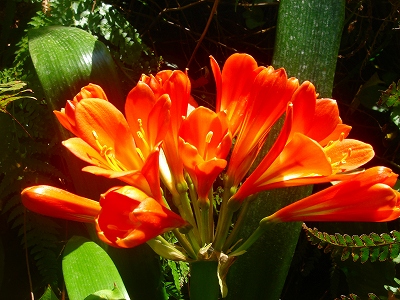 2007.3 222.jpg
